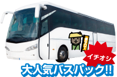 日本観光旅タローの大人気バスパックのご案内